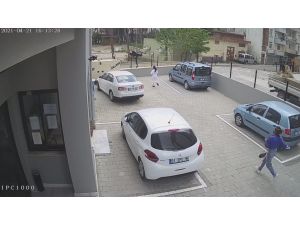 Kızlar Cep Telefonunu Çalan Kapkaççıyı Böyle Kovaladı