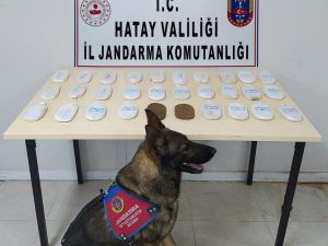 Hatay’da Uyuşturucu Operasyonu: 2 Gözaltı