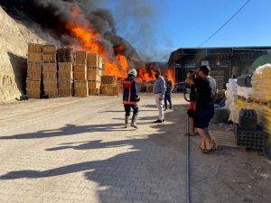 Mersin’de Soğuk Hava Deposunda Çıkan Yangın Söndürüldü