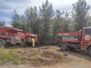 Hatay’daki Orman Yangınında 1 Hektarlık Alan Zarar Gördü