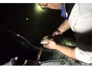 Eğirdir Gölü’nde Denetim Yapan Ekiplere Taciz Ateşi