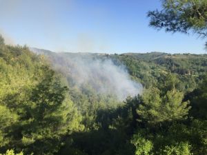 Osmaniye’de Orman Yangını