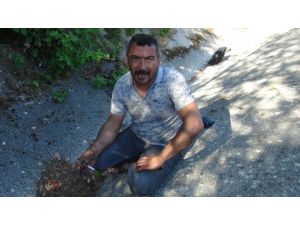 Seyir halindeyken lastiği patlayan tır alev alev yandı