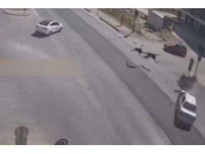Motosiklet Sürücüsünün Öldüğü Kaza Kamerada
