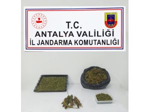 Alanya’da uyuşturucu ticareti yapılan eve baskın