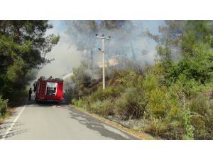 Çocukların torpille oyunu yangın çıkardı, mahalleli seferber oldu