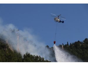Alanya Kalesi’nin bulunduğu yarımadadaki ormanlık alanda yangın
