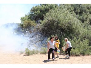 Antalya’da çıkan üç yangın da kontrol altına alındı