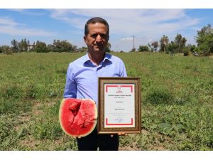 Doğan: "Ham Karpuz Milli Ekonomiye Zarar"