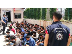 74 Mültecinin Ölüm Yolculuğu Osmaniye’de Son Buldu
