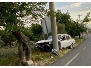 Otomobil Elektrik Direğine Çarptı: 1 Yaralı