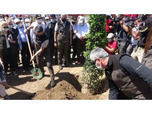 Bakan Pakdemirli Hatay’daki Yanan Alanda Fidan Dikti