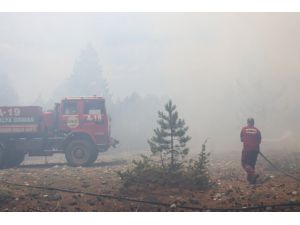 Alanya’da orman yangını kontrol altına alındı
