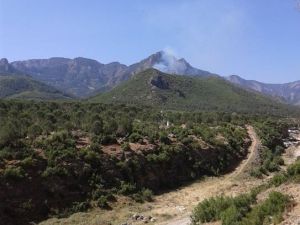 Ormanlık Alandan Yükselen Dumanlar Ekipleri Seferber Etti