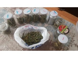 Balkonu Ve Bez Dolabı Kenevir Serasına Çevirdiler