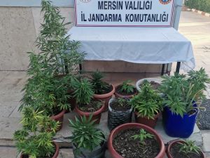 Mersin’de Uyuşturucu Operasyonu: 4 Gözaltı