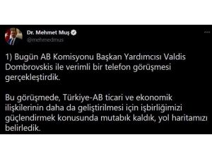 Bakan Muş, Ab Komisyonu Başkan Yardımcısı Dombrovskis İle Görüştü