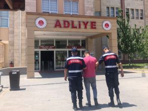 Kahramanmaraş’ta Arı Kovanı Hırsızı Tutuklandı