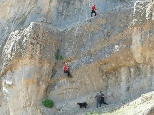 Kahramanmaraş’ta Kayalıkta Mahsur Kalan Hayvanları Jak Timleri Kurtardı