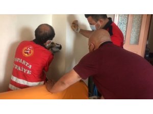 Isparta’da Baca Boşluğuna Sıkışan Güvercini İtfaiye Kurtardı