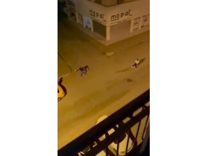 Ticari taksi içinde kadınla tartışıp, taksi şoförüne kurşun yağdırdı
