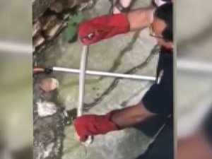 Evin İstinat Duvarına Giren Yılan Korkuttu