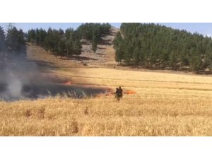 Kahramanmaraş’ta Buğday Tarlası Yandı