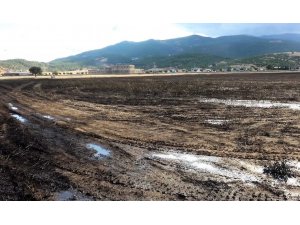 Kahramanmaraş’ta 200 Dekarlık Buğday Tarlası Yandı