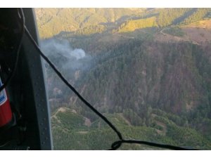 Kahramanmaraş’ta Orman Yangını