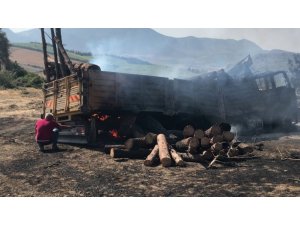 Ceyhan’da Odun Yüklü Kamyon Alev Aldı