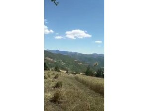 Hortum Ekinlere Zarar Verdi