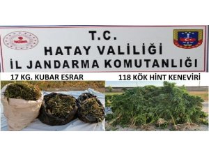 Samandağ’da Jandarmadan Uyuşturucu Operasyonu