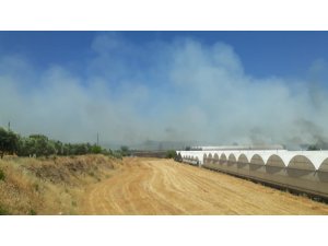 Antalya’da yangın