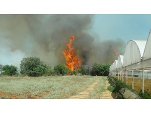 Serik’teki yangına havadan karadan müdahale ediliyor
