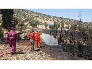 Antalya’da arazi yangınında 60 dekar ekili alan zarar gördü