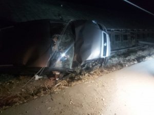 Elektrik direğine çarpan alkollü sürücü otomobiliyle seraya girdi