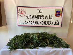 Kahramanmaraş’ta Uyuşturucu Operasyonu