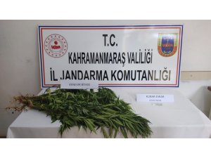 Kahramanmaraş’ta Uyuşturucuya 2 Gözaltı