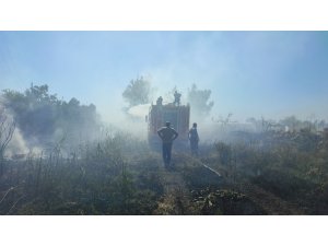 Samandağ’da Seralar Son Anda Yanmaktan Kurtuldu