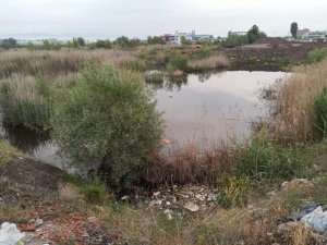 Ankara’da Tabelaya Çarpan Otomobil Dereye Uçtu: 3 Ölü, 1 Yaralı