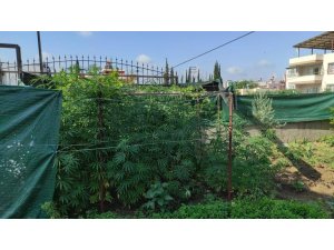 Adana’da Uyuşturucu Operasyonu