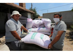 Tarlaları yanan  çiftçilere tohumluk buğdayları dağıtıldı