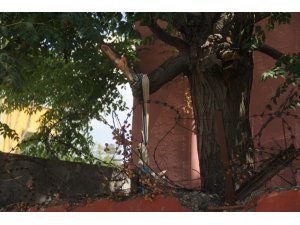 İ̇lkokul Bahçesinde Dehşet