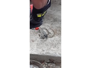 Isparta’da Yılan Operasyonu