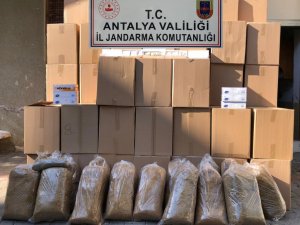 Alanya’da kaçak tütün operasyonu