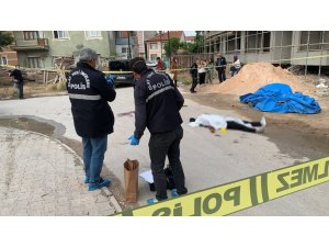 Eşini Öldürüp İntihar Etti