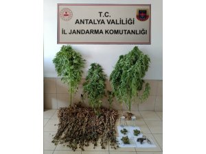 ABD vatandaşının evinden uyuşturucu ve tarihi eser çıktı
