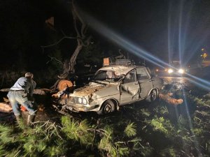 Seyir Halindeki Otomobilin Üzerine Ağaç Devrildi: 2 Yaralı