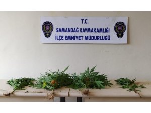 Samandağ’da Uyuşturucu Operasyonu: 2 Gözaltı