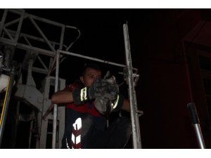 Isparta’da Kedi Operasyonu